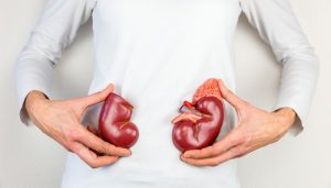 Kidney Transplant: Facts And Myths