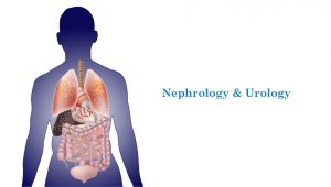 Nephrologists and Urologists in Delhi, India - Venkateshwar Hospital