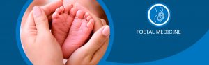 fetal-medicine