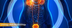 urology and neprhology venkateshwar hospital