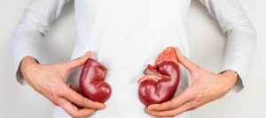 kidney-transplant-Venkateshwar Hospital