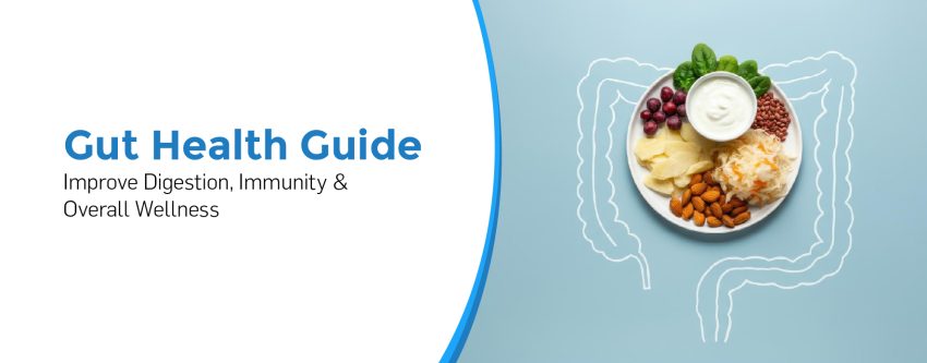 Gut Health Guide: Improve Digestion, Immunity & Overall Wellness