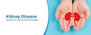 Kidney Disease: Symptoms, Causes and Early Signs