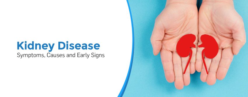 Kidney Disease: Symptoms, Causes and Early Signs