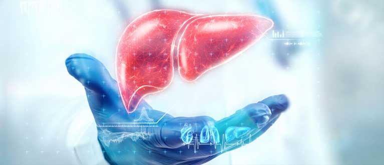 Liver Transplant, HPB & GI Surgery