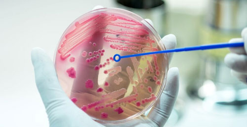 Haemato-Medical Oncology & Bone Marrow Transplant