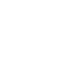 Kidney Transplant Icon