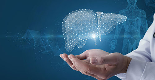 Liver Transplant, HPB, GI Surgery, GI Oncology & Robotic Surgery Pic