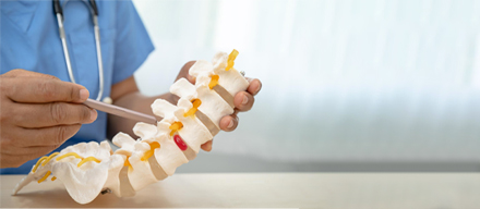 Spine rehabilitation therapy